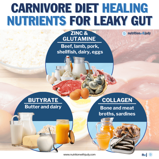 carnivore diet leaky gut nutrients