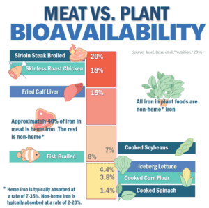 carnivore diet nutrient bioavailability