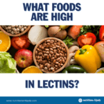 foods high in lectins