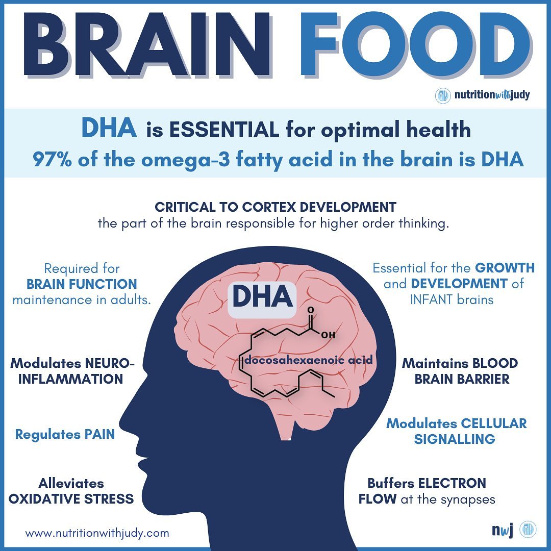 carnivore diet brain health
