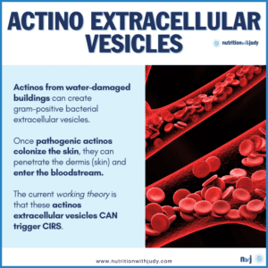 actino extracelluar vesicles