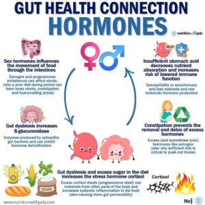 carnivore diet hormones