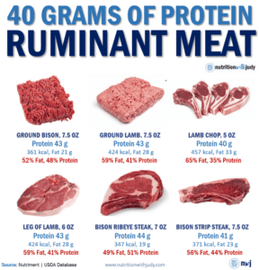 meat complete protein carnivore diet