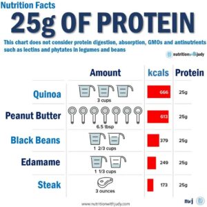 protein carnivore diet