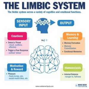 cirs limbic system