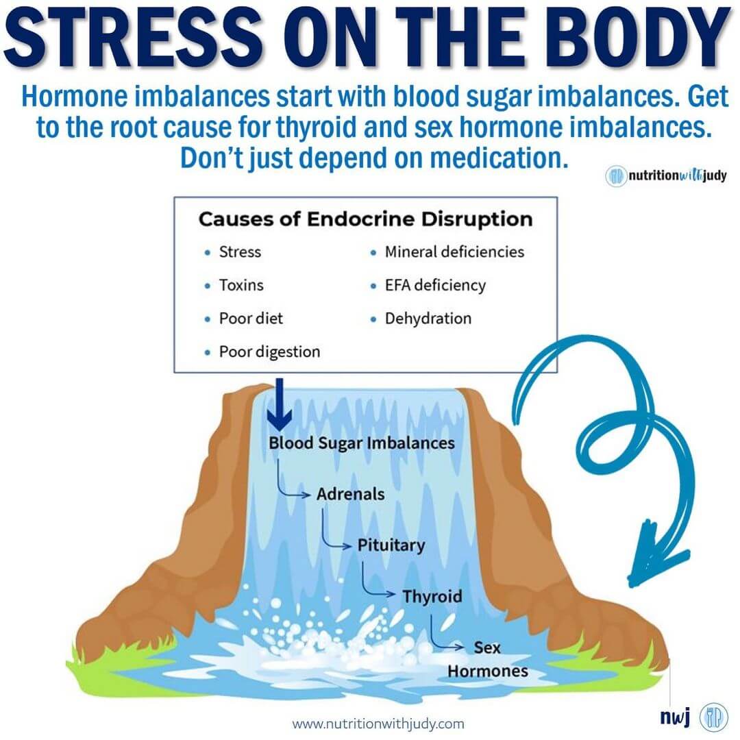 endocrine system stress cirs