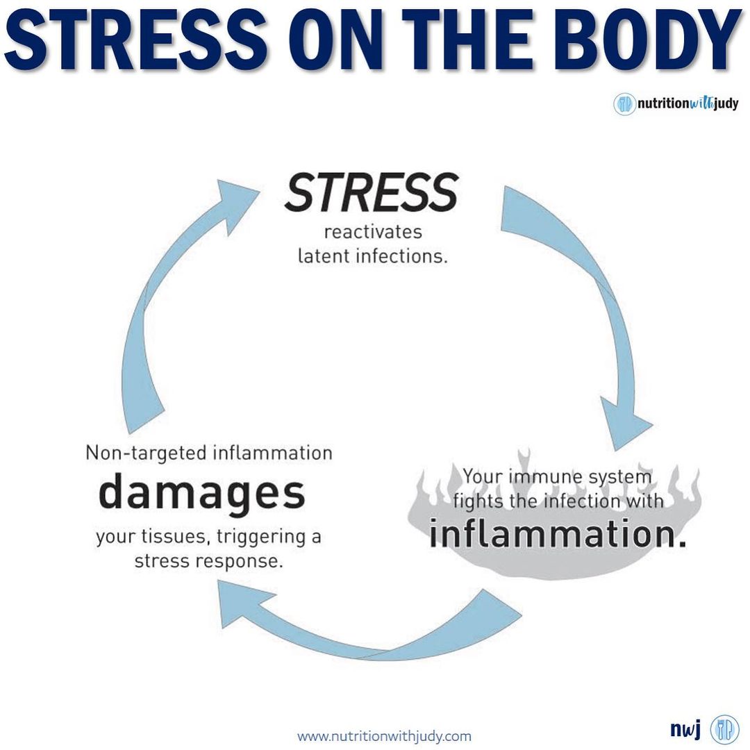 stress inflammation cirs